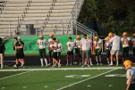 IMG 0087