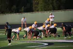IMG 0153
