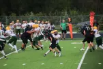 IMG 0263
