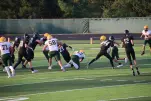 IMG 0125