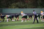 IMG 0219