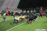 IMG 0350