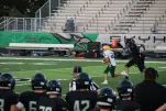 IMG 0273