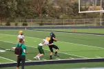 IMG 0239