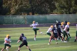 IMG 0115