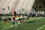 IMG 0018