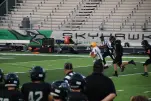 IMG 0272