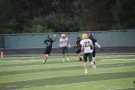 IMG 0284