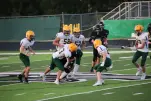 IMG 0227