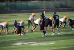 IMG 0110