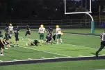 IMG 0381