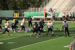 IMG 0042