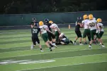 IMG 0291