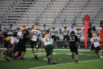 IMG 0307