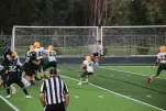 IMG 0255