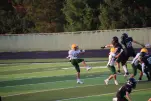 IMG 0174