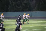 IMG 0343