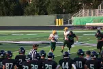 IMG 0209