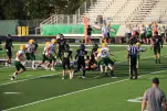 IMG 0043