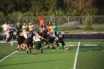 IMG 0105