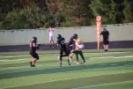 IMG 0129