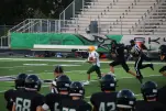 IMG 0274