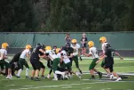 IMG 0276