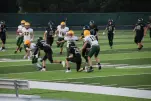 IMG 0299