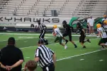 IMG 0270