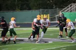 IMG 0225