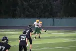 IMG 0342