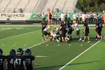 IMG 0063