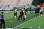 IMG 0234