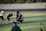 IMG 0145