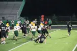 IMG 0394