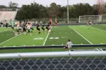 IMG 0250