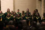 IMG 0153