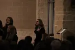 IMG 0110