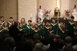 IMG 0231