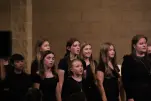 IMG 0038
