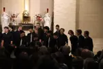 IMG 0082