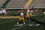 IMG 0023