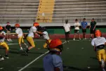 IMG 0141