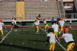 IMG 0101