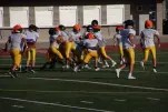 IMG 0125