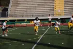 IMG 0106