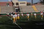 IMG 0115