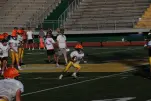 IMG 0027