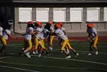 IMG 0124