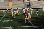 IMG 0110